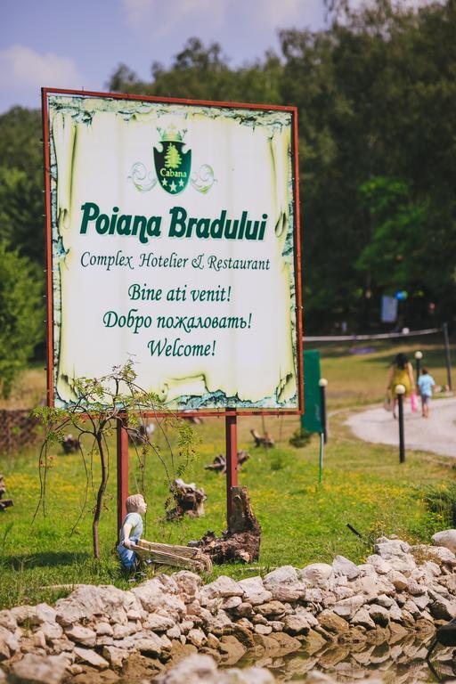 Tohatin Poiana Bradului 빌라 외부 사진