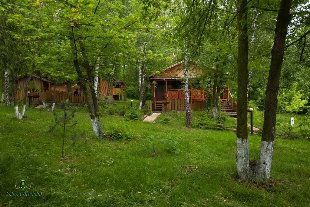 Tohatin Poiana Bradului 빌라 외부 사진